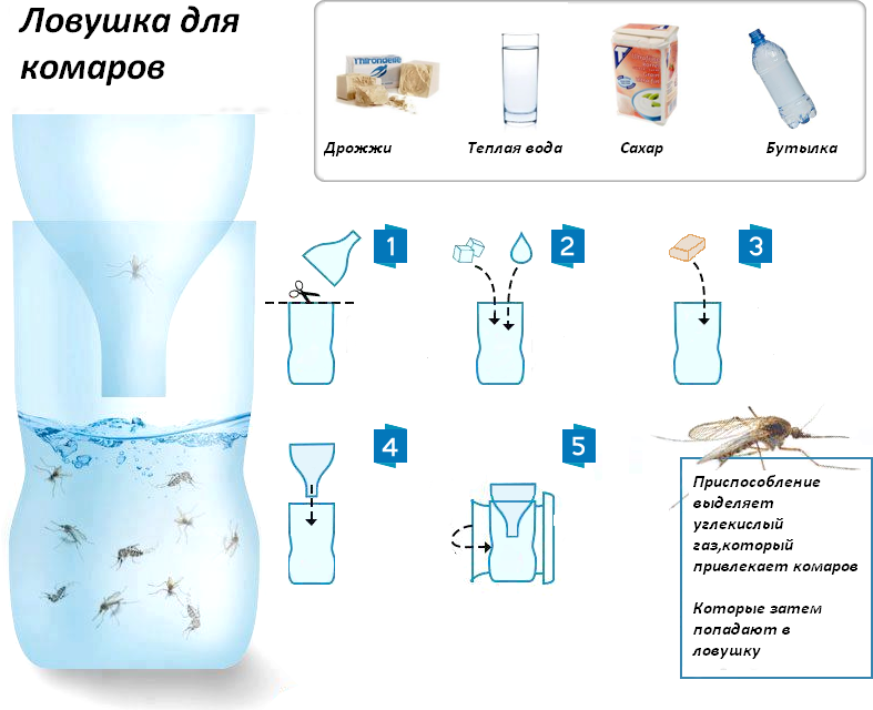 Как сделать ловушку для ос своими руками