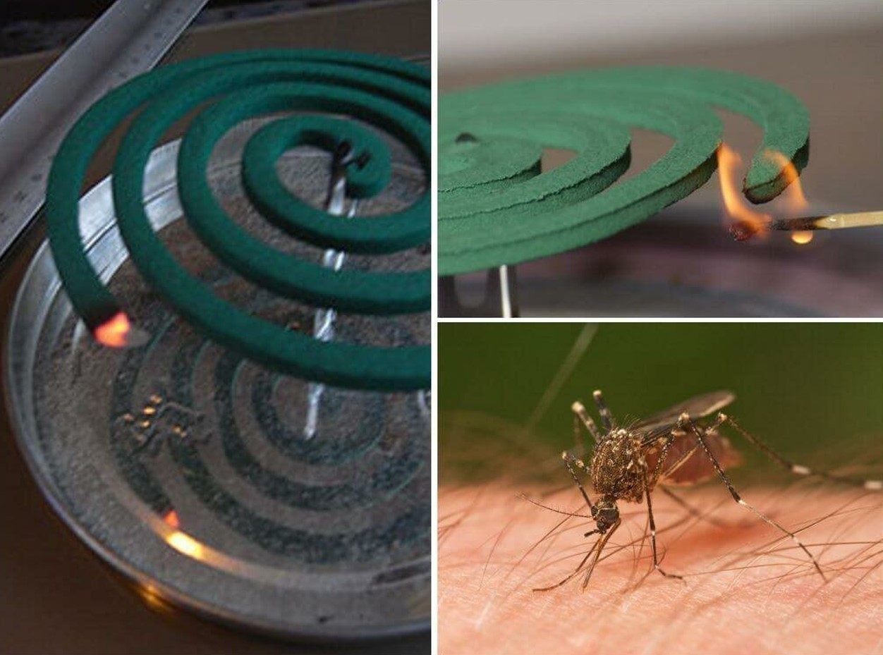 От комаров тлеет спираль комаров
